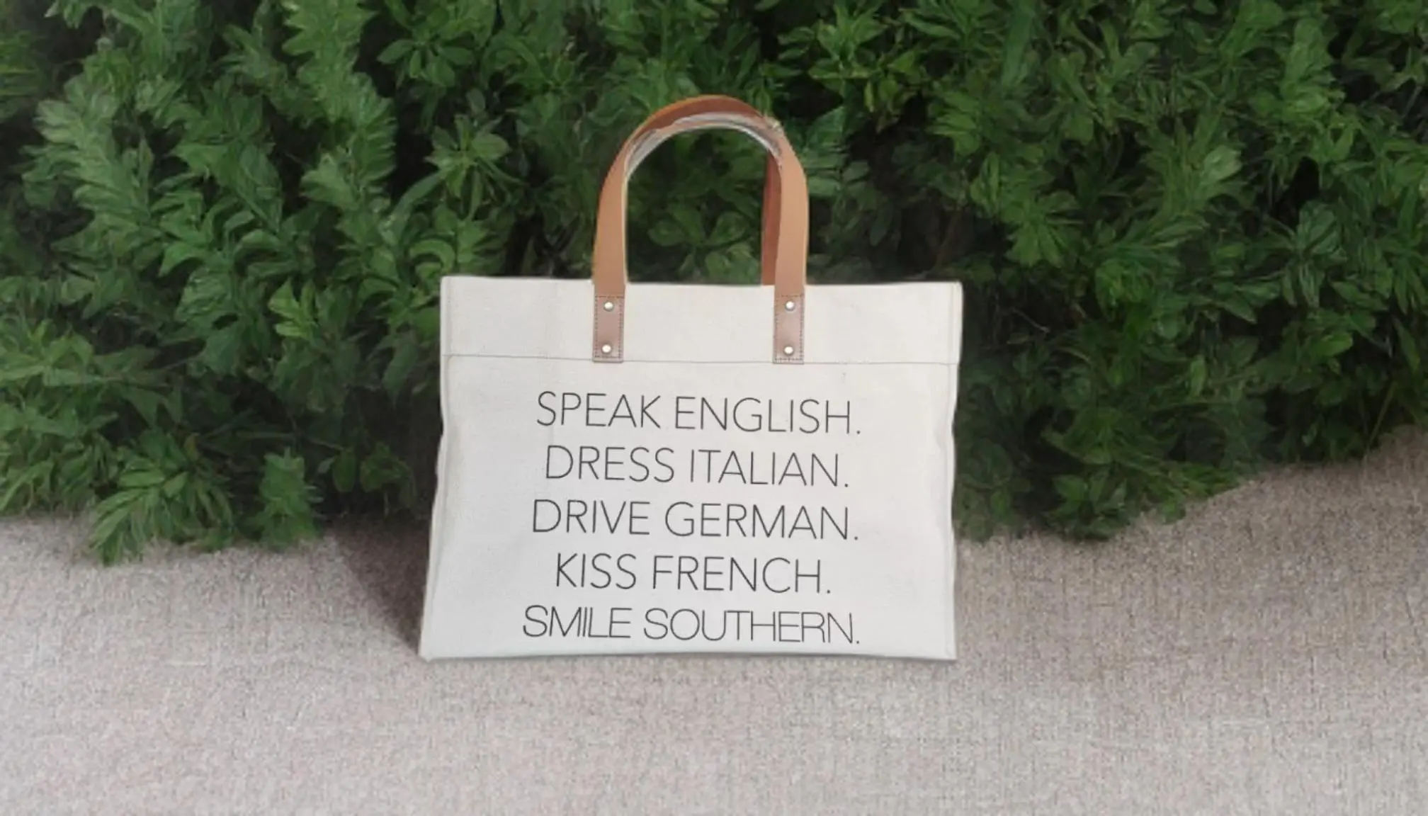 Stylish Canvas Tote Carrier with Leather Handles