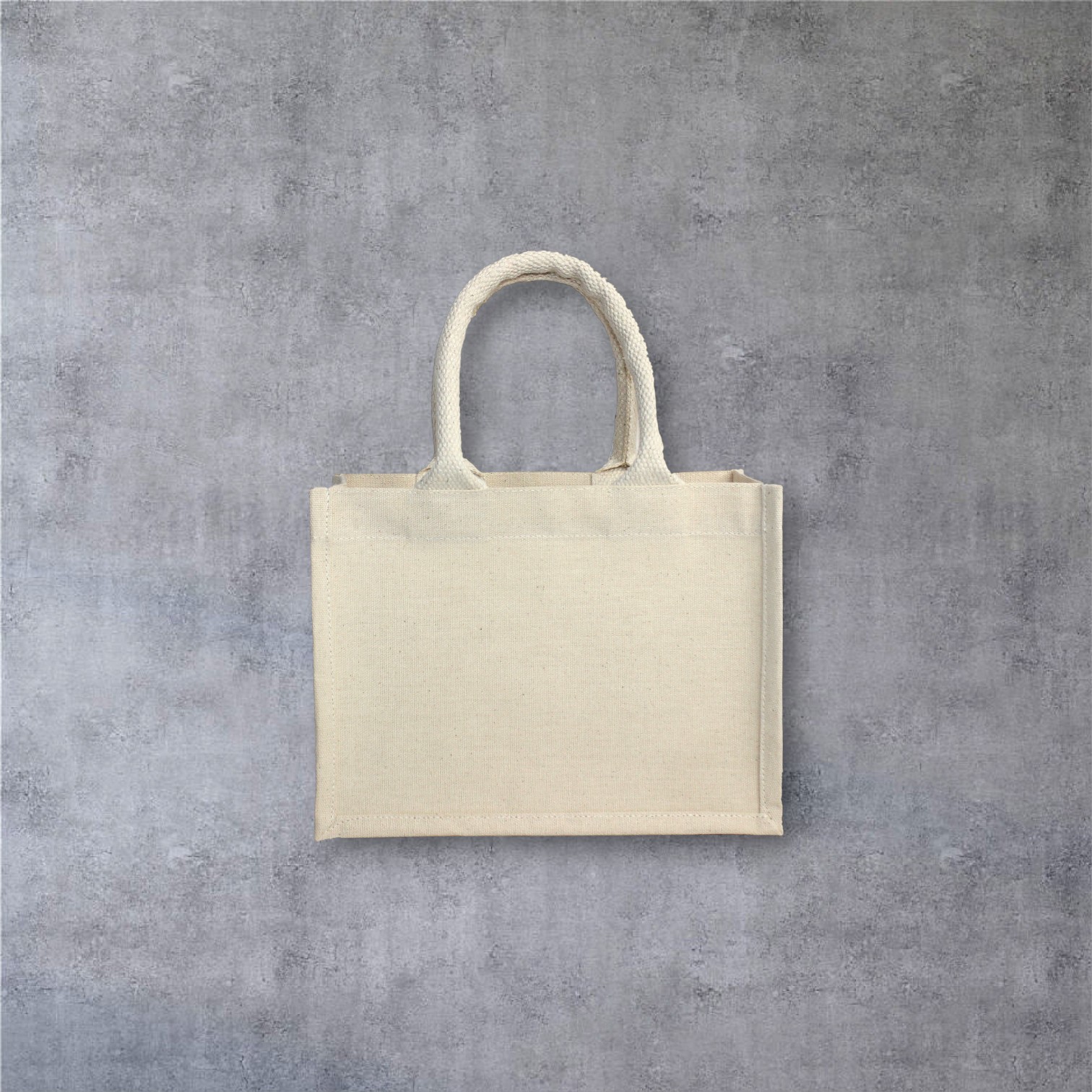 Laminated Canvas Mini Tote Bag