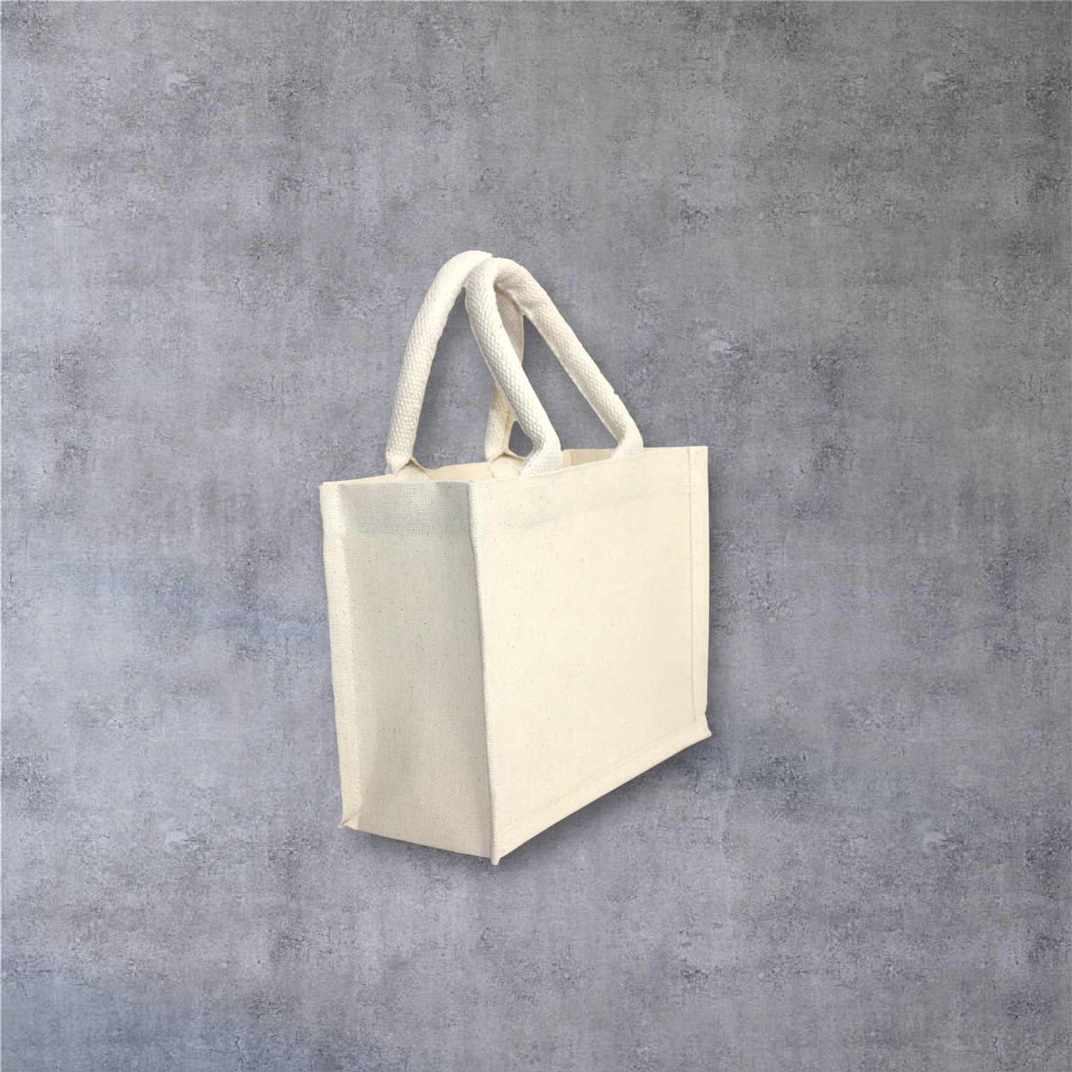 Laminated Canvas Mini Tote Bag